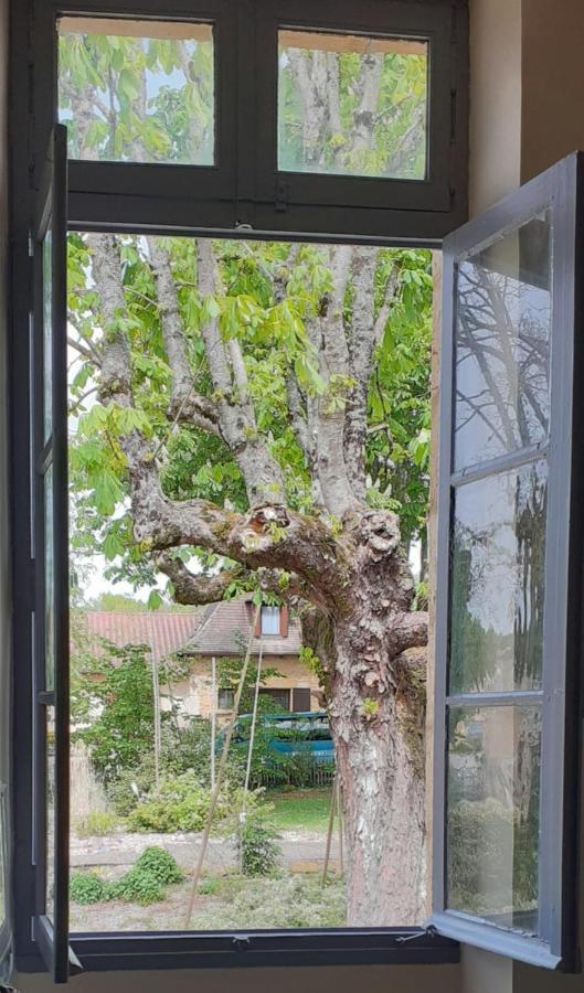 Le Petit Figuier Villa Villefranche-du-Perigord Bagian luar foto
