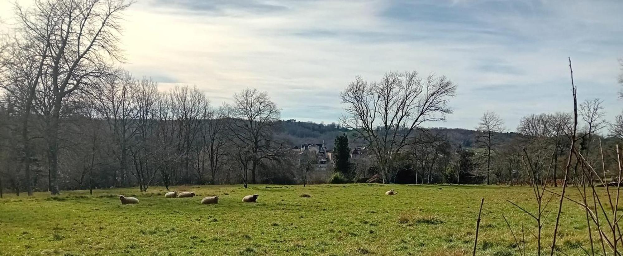Le Petit Figuier Villa Villefranche-du-Perigord Bagian luar foto